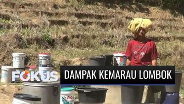 Kemarau Tiba, Ribuan Warga Lombok Barat Kesulitan Air Bersih | Fokus