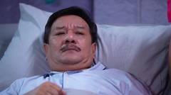 Bidadari Surgamu : Malam Pertama Fadhil dan Namira | 11 Januari 2024