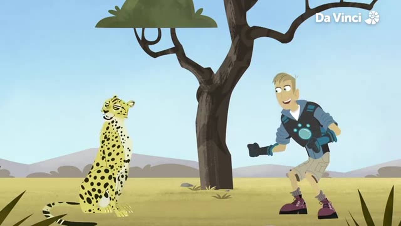 Wild Kratts - Ep 03 - Creature Power Challenge (2022) | Vidio