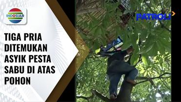Polisi Tak Sengaja Temukan 3 Pria Pesta Sabu di Atas Pohon, Pelaku dan Barbuk Diamankan | Patroli