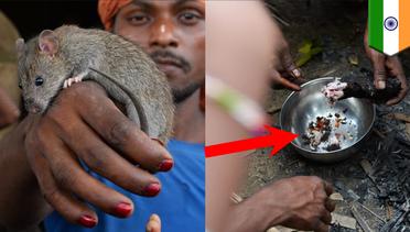 Orang Musahar, sang pemakan tikus di India - TomoNews