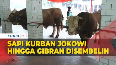 Sapi Kurban dari Jokowi hingga Gibran Disembelih di Masjid Istiqlal