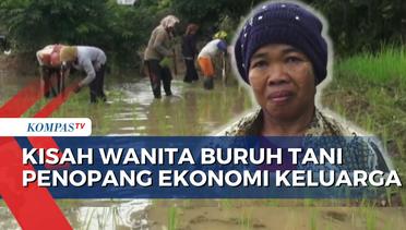 Kisah Perempuan Buruh Tani Penopang Ekonomi Keluarga di Banjar Kalsel