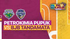 Full Match | Gresik Petrokimia Pupuk Indonesia VS Bandung BJB Tandamata | PLN Mobile Proliga Putri 2022