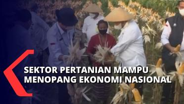 Indonesia Mampu Tekan Inflasi di Bawah 3% Saat Pandemi, Sektor Pertanian Jadi Cagak Ekonomi Nasional