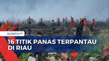Kebakaran Lahan, 16 Titik Panas Tersebar di 6 Kabupeten dan Kota Riau