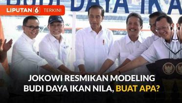 Presiden Jokowi Resmikan Modeling Budi Daya Ikan Nila Salin di Karawang, Buat Apa? | Liputan 6
