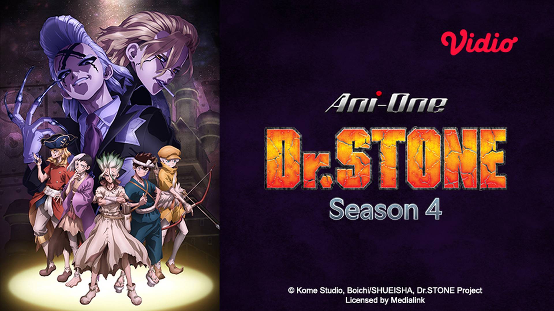 Dr. Stone