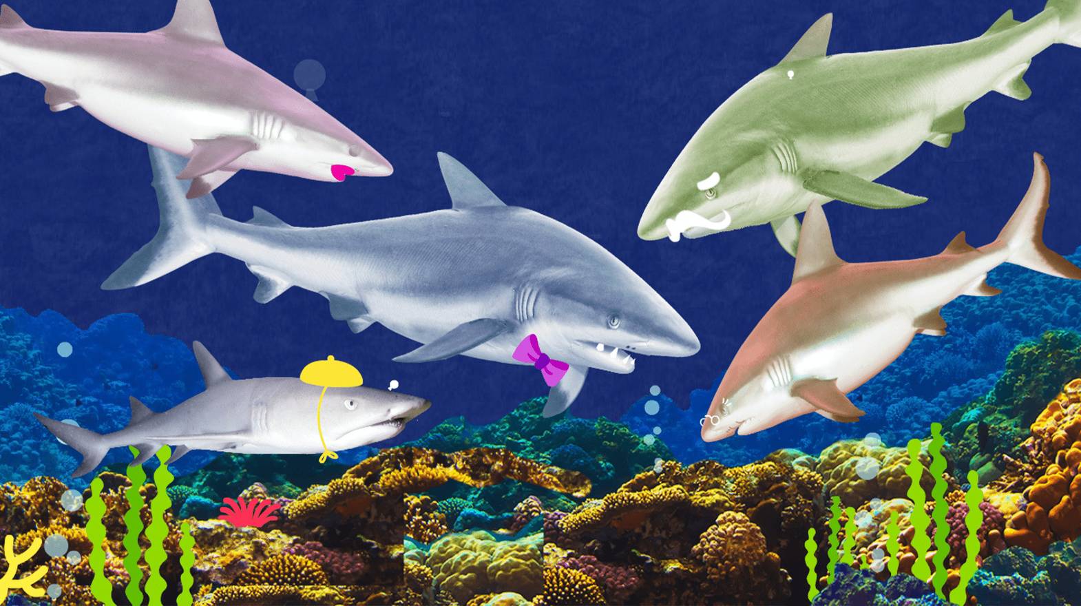 Baby Shark Remix (Ep 02) - I'm a Real Baby Shark | Vidio