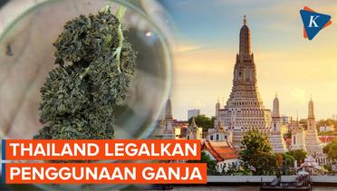 Thailand Longgarkan Aturan Penggunaan dan Penjualan Mariyuana
