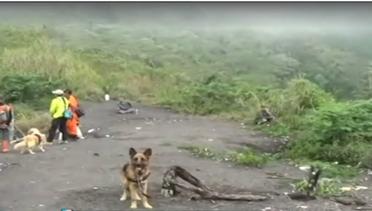 Tim SAR Terjunkan Anjing Pelacak Cari Korban Longsor Galunggung Fokus Malam
