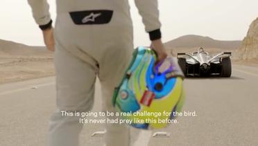 Drag Race- Peregrine Falcon vs Formula E Car, With Felipe Massa - The Hunt