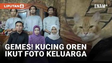 Gemes! Kucing Oren Tiba-Tiba Muncul Ikut Foto Keluarga