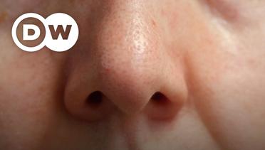 Now You Know - Kenapa kita memiliki dua lubang hidung?
