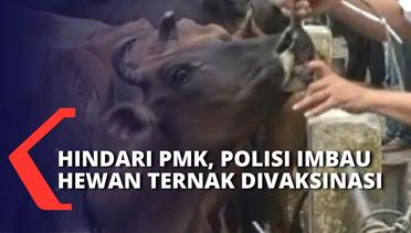 Polda Aceh Antisipasi Penyebaran PMK Ternak, Pos Perbatasan & Akses Masuk Provinsi Dijaga Ketat!