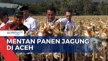 Menteri Pertanian Panen Jagung di Aceh