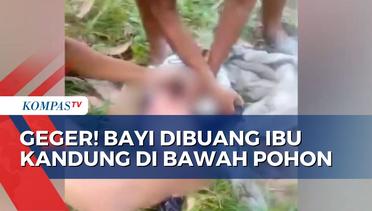 Polisi Ungkap Kasus Pembuangan Bayi di Samarinda, Pelakunya Masih Mahasiswa