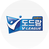V-League