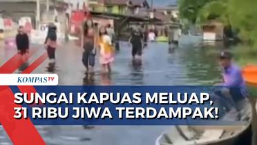 31 Ribu Orang di 9 Kecamatan Terdampak Banjir dari Luapan Sungai Kapuas Kalbar!
