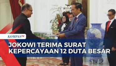 12 Duta Besar LBBP Serahkan Surat Kepercayaan ke Presiden Jokowi, Tanda Mulainya Tugas