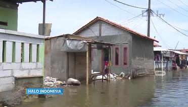 Banjir Rob Masih Menggenangi Desa Muara