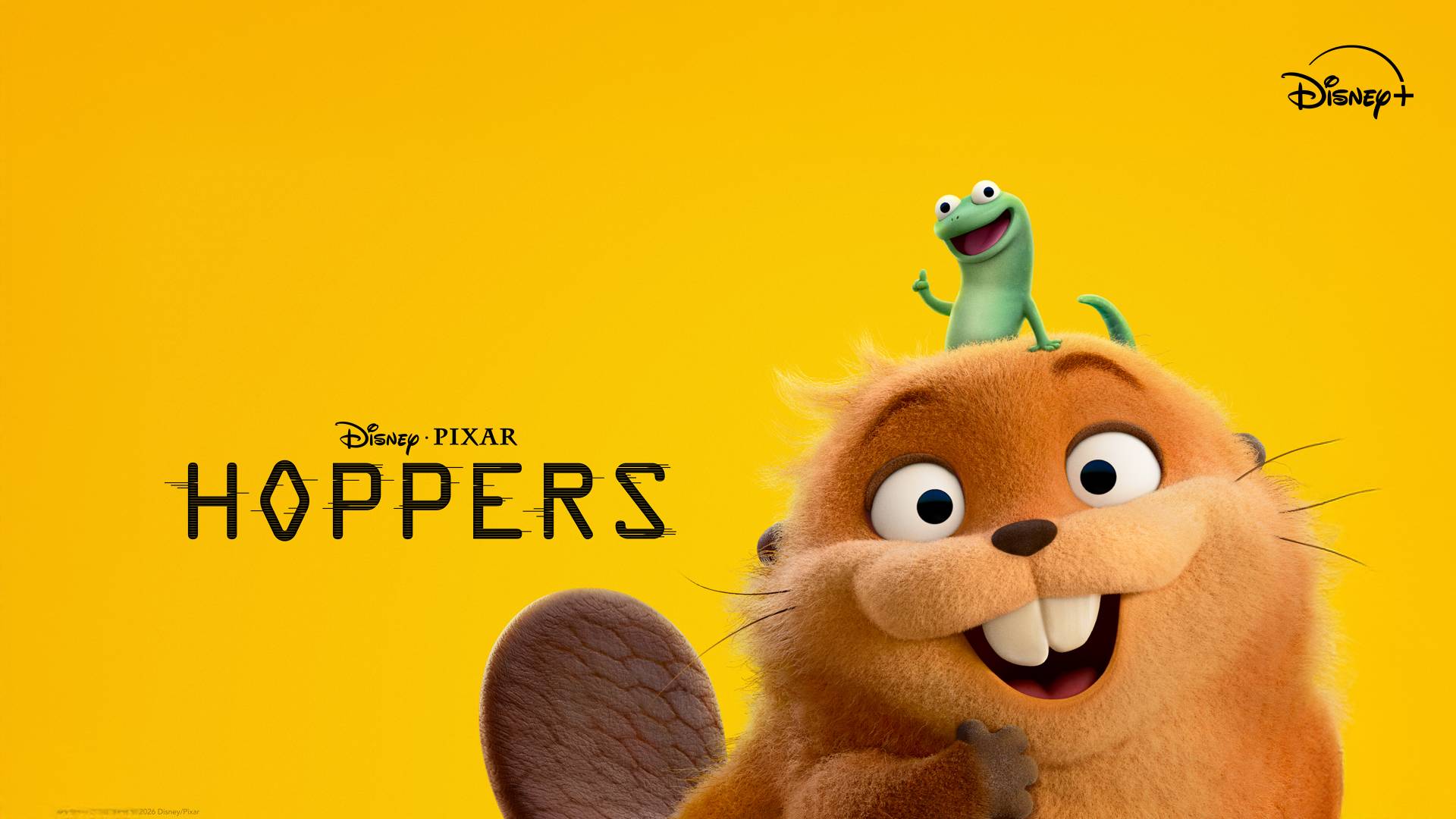 Hoppers