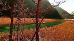 Beautiful Places To See- Reed Lake Jiuzhaigou Valley - China