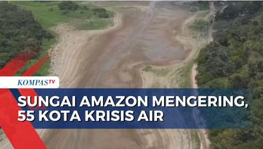 Sungai Amazon Mengering Sebabkan 55 Kota di Brasil Krisis Air dan Beberapa Titik Terisolir