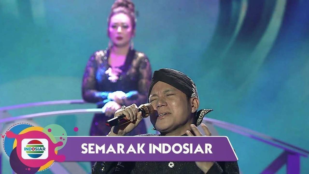 Toymas Liza Enn katta xorozlarga minadi