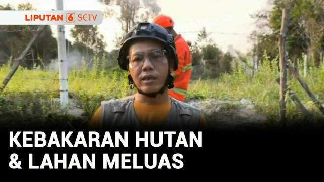 Api Sulit Dikendalikan, Kebakaran Hutan di Riau Dekati Menara Sutet | Liputan 6