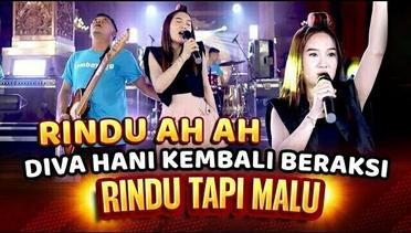 Rindu Tapi Malu -  Pindo Ah Ah - Diva Hani (Official Music Video)