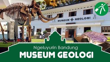 Ayo Ikut Keluyuran ke Museum Geologi! Seru Banget Loh!