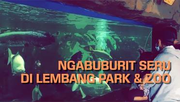 Serunya Ngabuburit Puasa Ramadhan di Lembang Park & Zoo