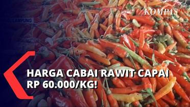 Harga Cabai Rawit Melonjak, Kini Capai Rp 60.000 per Kilogramnya!
