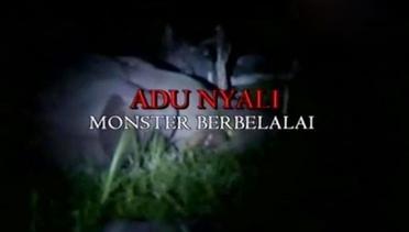 Sigi Investigasi: Adu Nyali Monster Berbelalai