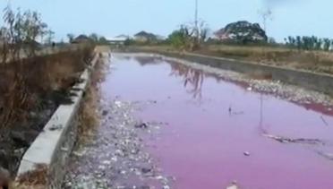 Segmen 2: Air Sungai Kamal Brebes Berubah Warna Jadi Pink hingga Sidak ke Pabrik Kimia