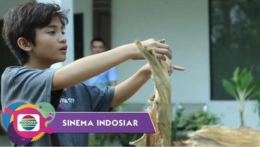 Sinema Indosiar - Perjuangan Bocah Yatim Piatu Penjual Kulit Kambing Jadi Pengusaha Tas Merek Terkenal