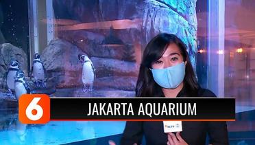 Pengunjung Mulai Datangi Wisata Jakarta Aquarium