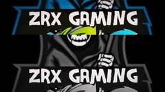 Intro zrx Gaming