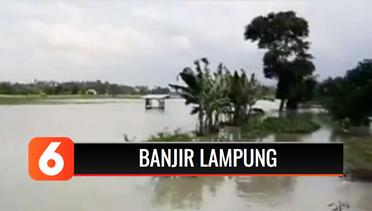 Puluhan Rumah dan Ratusan Hektar Sawah Terendam Banjir di Lampung Selatan | Liputan 6