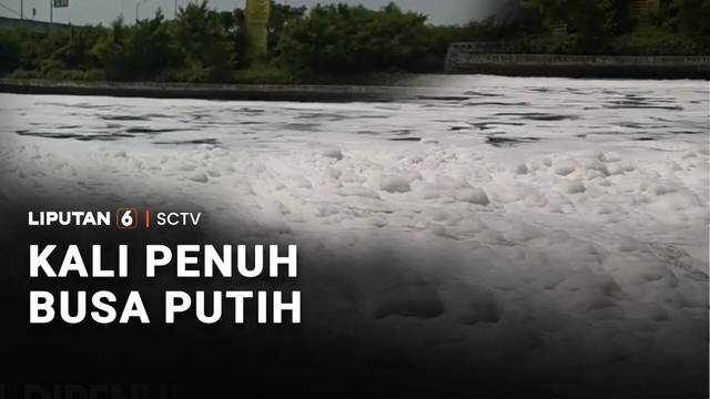 Aliran Kali Kamal Dipenuhi Busa Putih, Diduga Tercemar Limbah | Liputan 6