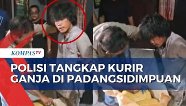 Polisi Berhasil Gagalkan Pengiriman 22,5 Kilogram Paket Ganja Kering ke Jakarta
