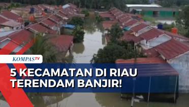 Permukiman Warga hingga Jalan Raya, Kabupaten Pelalawan di Riau Terendam Banjir Tinggi!