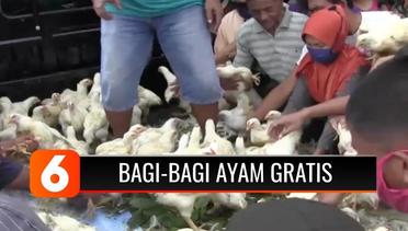 Harga Anjlok, Peternak di Madiun Bagi-bagikan Ayam Secara Gratis untuk Warga