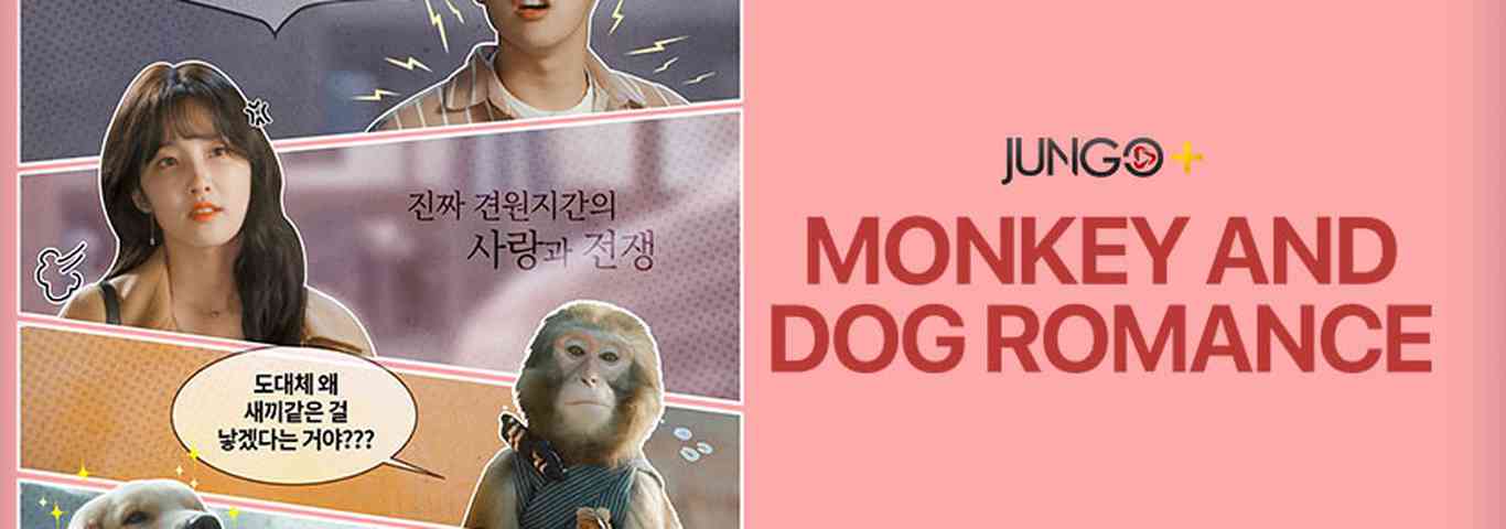 Monkey And Dog Romance