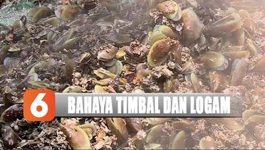 KP BB Temukan Kandungan Timbal dan Logam di Teluk Jakarta - Liputan 6 Siang 