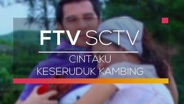 FTV SCTV - Cintaku Keseruduk Kambing