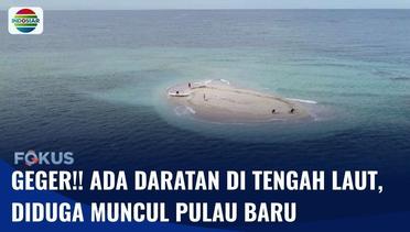 Heboh!! Ada Temuan Daratan di Tengah Laut Perairan Polewali Mandar, Diduga Pulau Baru | Fokus