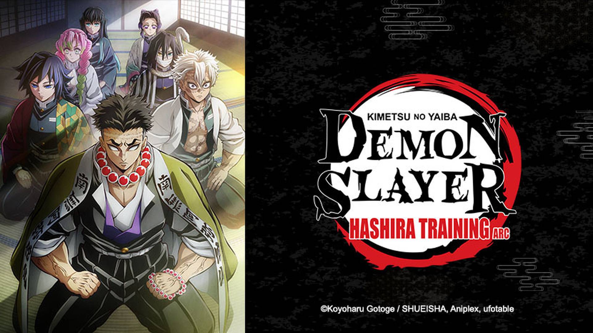 Demon Slayer: Kimetsu no Yaiba
