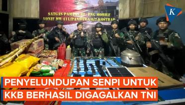 TNI Gagalkan Penyelundupan Senpi untuk KKB di Nduga Papua